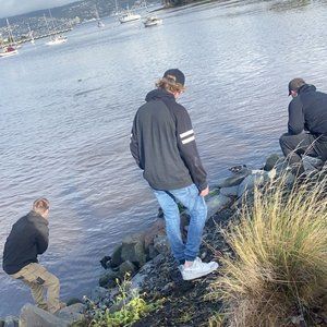 Meet your Posher, Zane